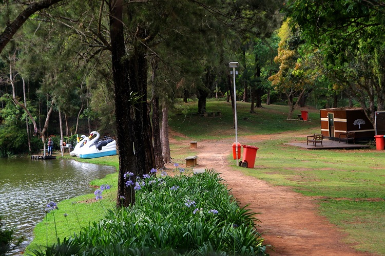 Parque da Lajinha é a maior área de interesse ambiental